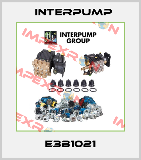 E3B1021 Interpump