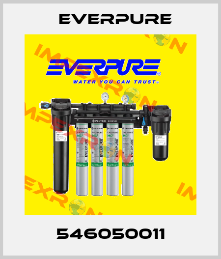 546050011 Everpure
