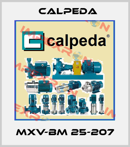 MXV-BM 25-207 Calpeda