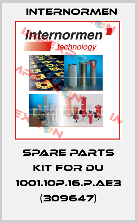 Spare parts kit for DU 1001.10P.16.P.AE3 (309647) Internormen