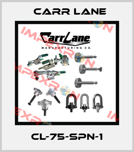CL-75-SPN-1 Carr Lane