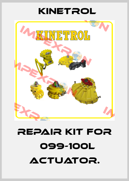 repair kit for 	099-100L actuator. Kinetrol