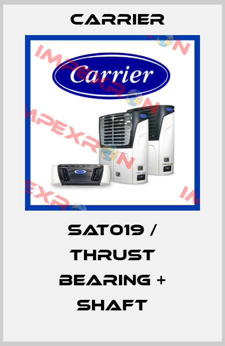 SAT019 / THRUST BEARING + SHAFT Carrier