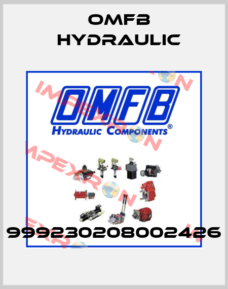 999230208002426 OMFB Hydraulic