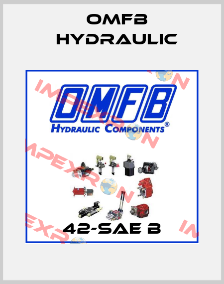 42-SAE B OMFB Hydraulic