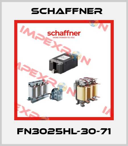 FN3025HL-30-71 Schaffner