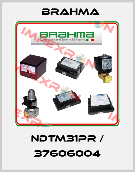 NDTM31PR / 37606004 Brahma