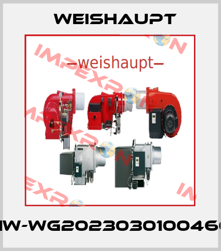 HW-WG2023030100460 Weishaupt