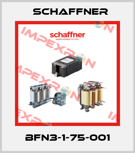 BFN3-1-75-001 Schaffner