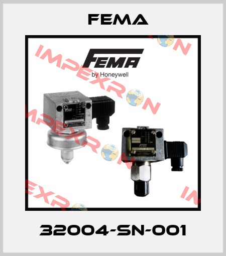 32004-SN-001 FEMA