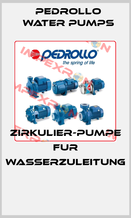 ZIRKULIER-PUMPE FUR WASSERZULEITUNG  Pedrollo Water Pumps