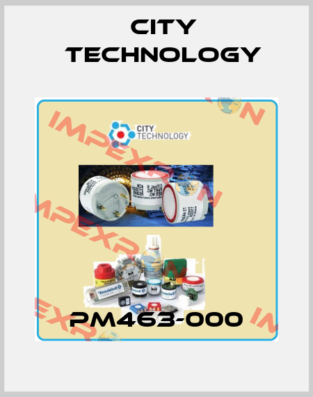 PM463-000 City Technology