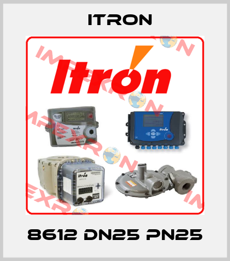 8612 Dn25 Pn25 Itron