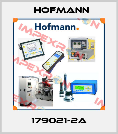 179021-2A Hofmann