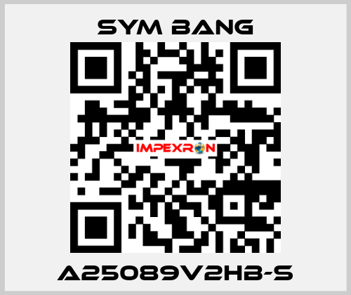 A25089V2HB-S SYM BANG