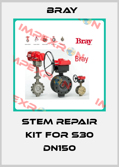 Stem repair kit for S30 DN150 Bray