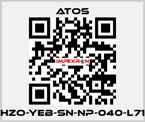 DLHZO-YEB-SN-NP-040-L71 10 Atos