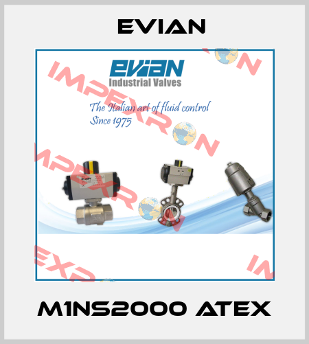M1NS2000 ATEX Evian