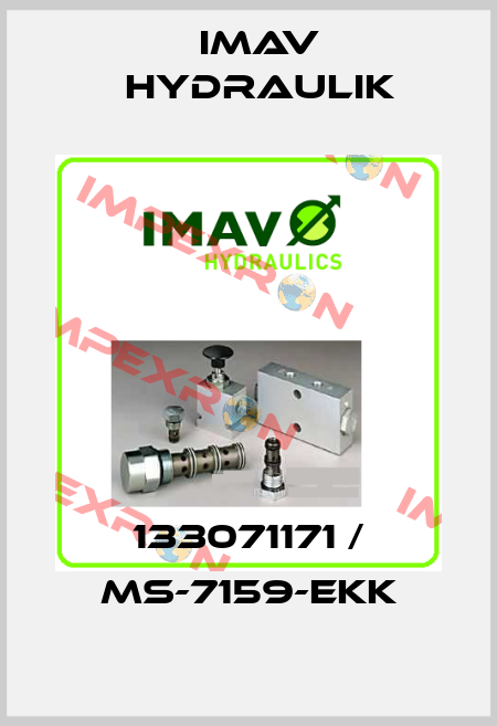 133071171 / MS-7159-EKK IMAV Hydraulik