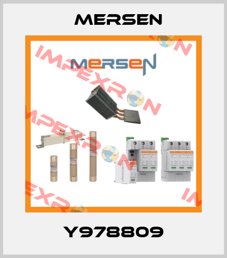 Y978809 Mersen