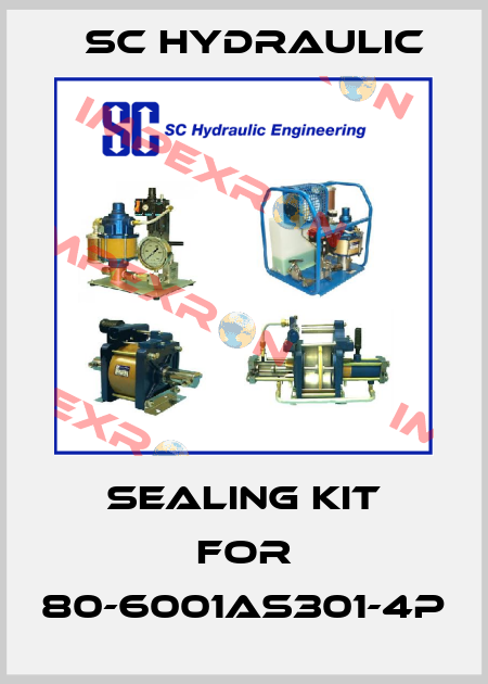 sealing kit for 80-6001AS301-4P SC Hydraulic