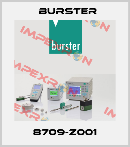 8709-Z001 Burster