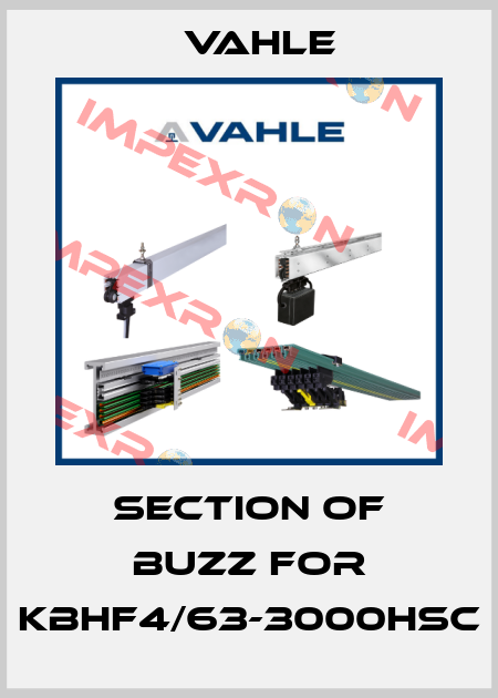 section of buzz for KBHF4/63-3000HSC Vahle