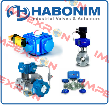 BV-623-01 Habonim