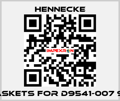 gaskets for D9541-007 913 Hennecke