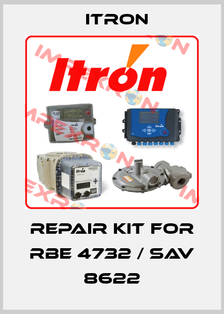 Repair kit for RBE 4732 / SAV 8622 Itron