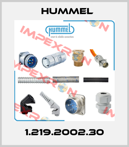 1.219.2002.30 Hummel