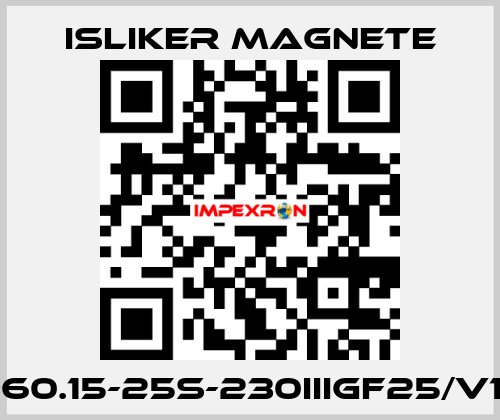 GIs-60.15-25S-230IIIGF25/V1474 ISLIKER MAGNETE