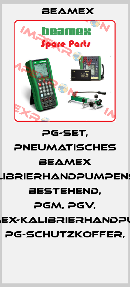 PG-Set, pneumatisches BEAMEX Kalibrierhandpumpenset bestehend, PGM, PGV, BEAMEX-Kalibrierhandpumpe, PG-Schutzkoffer,  Beamex
