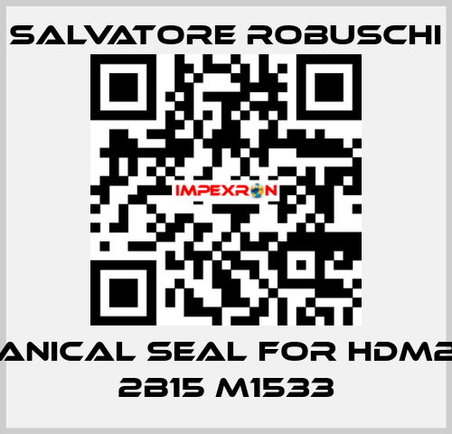 mechanical seal for HDM25-16A 2B15 M1533 SALVATORE ROBUSCHI