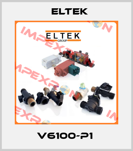 V6100-P1  Eltek