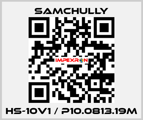 HS-10V1 / P10.0813.19M Samchully