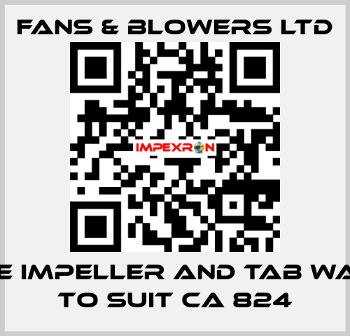 Spare impeller and tab washer to suit CA 824 Fans & Blowers Ltd