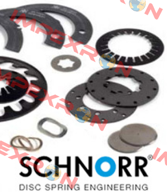 250X127X14 Schnorr
