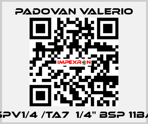 VSPV1/4 /TA7  1/4" BSP 11bar PADOVAN VALERIO