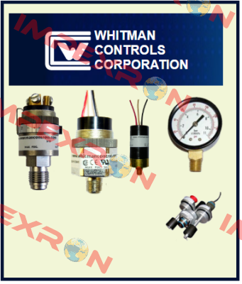 P119G-5H-F11L-X30156 Whitman Controls