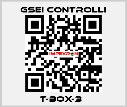 T-BOX-3Т GSEI Controlli