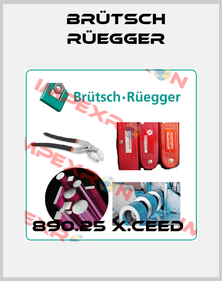 890.25 X.CEED  Brütsch Rüegger