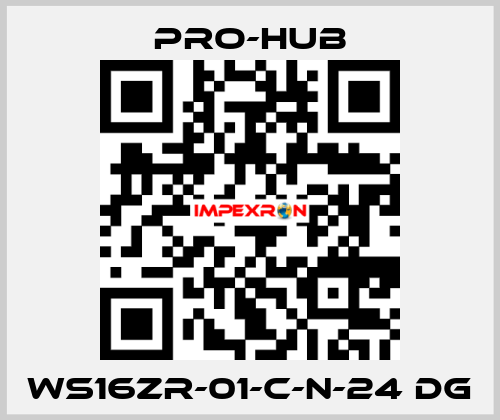 WS16ZR-01-C-N-24 DG Pro-Hub