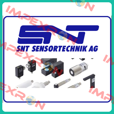 DP 1000 PVPS 24 IS Snt Sensortechnik