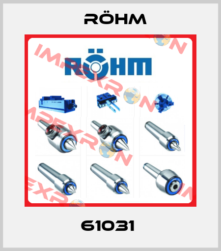 61031  Röhm