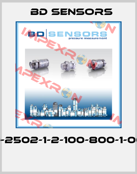 110-2502-1-2-100-800-1-000  Bd Sensors