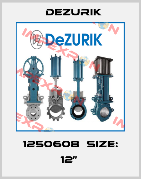 1250608  Size: 12”  DeZurik