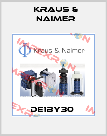 DE1BY30  Kraus & Naimer