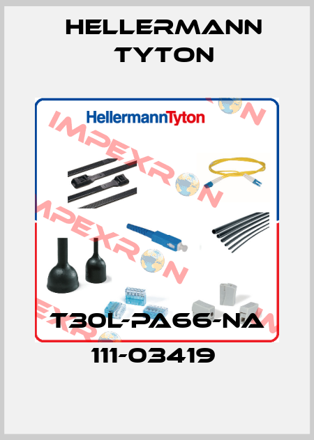T30L-PA66-NA 111-03419  Hellermann Tyton