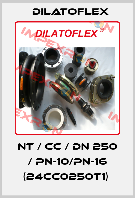 NT / CC / DN 250 / PN-10/PN-16 (24CC0250T1)  DILATOFLEX